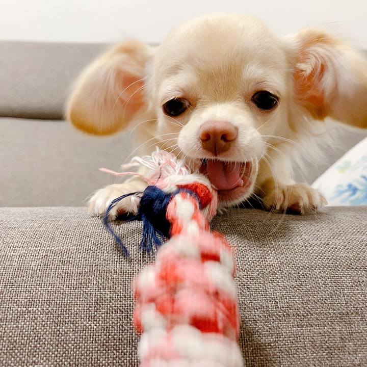 8c6c2a2e f155 4776 9a6c 2be649fe5f10 1597320887150