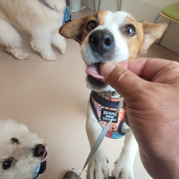 8c6c3633 17b6 4cce bd7f 49b8a491fb16 1711953872000