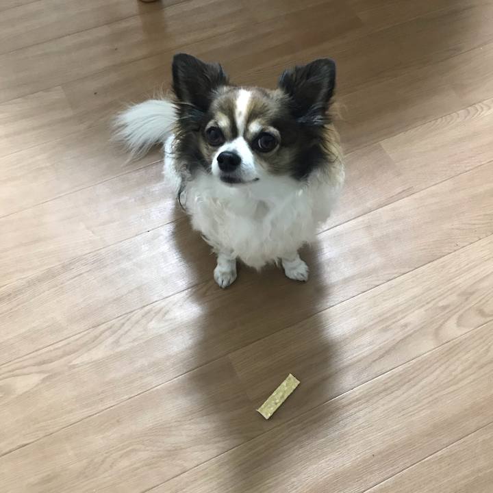 8c6c3f74 9cd7 4a2e 8642 375ead8e4292 1615553597979