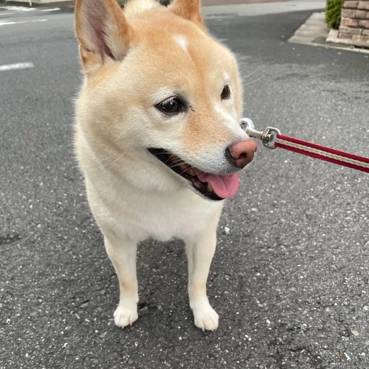 8c6c7f6c 45cc 4eba b966 785fe440fafc 1722976361221