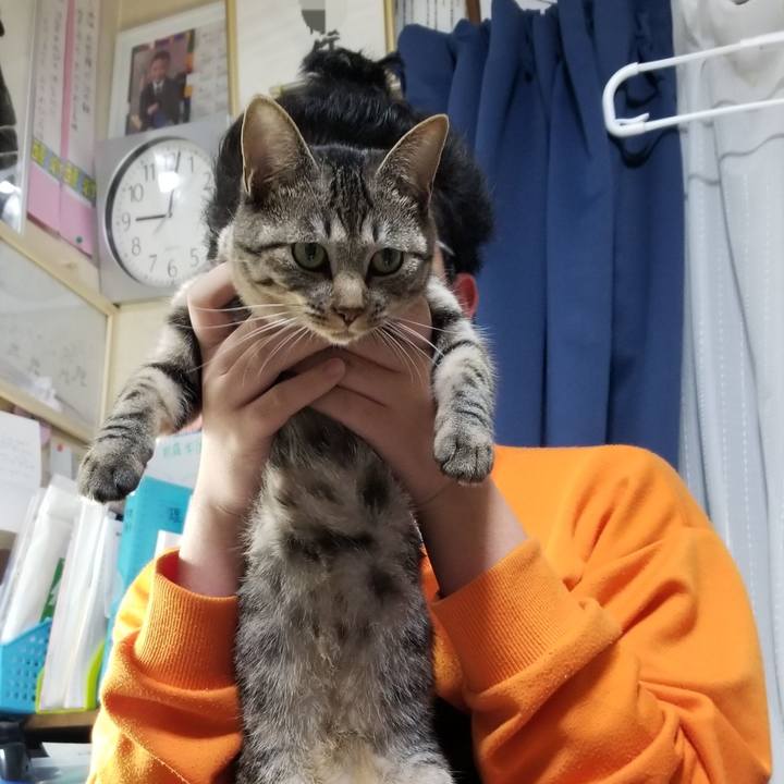 8c6c9132 2bca 40cb 994f 216905bcbe61 1685188336192