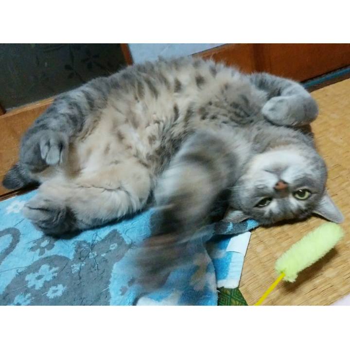 8c6cc4ec 0f02 4ce0 bcea 9e0303a92f7b 1524703034162