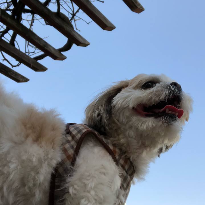 8c6cdfeb f894 4e09 9700 0f8eeb6da09b 1523062046327