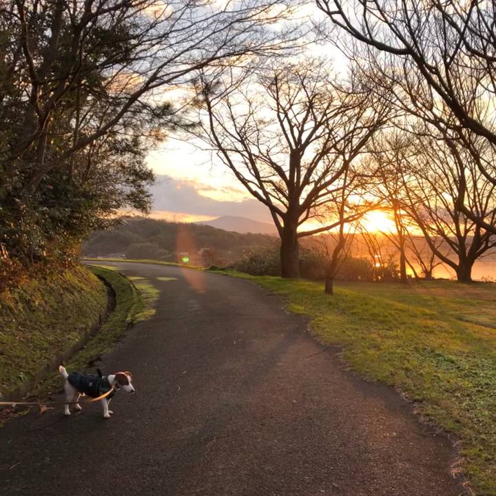 8c6d0f07 952c 482c 95be 30611aff2b5d 1547888219630