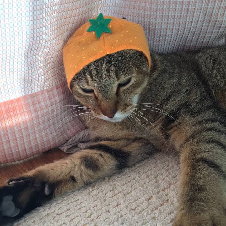 8c6d0fcd f5e5 4067 8c3a 147755f4df66 1514523082824