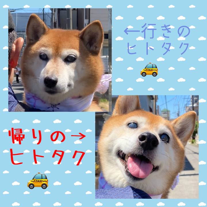 8c6d13cd d2ba 405d 8f37 aeab41446c88 1689482763939