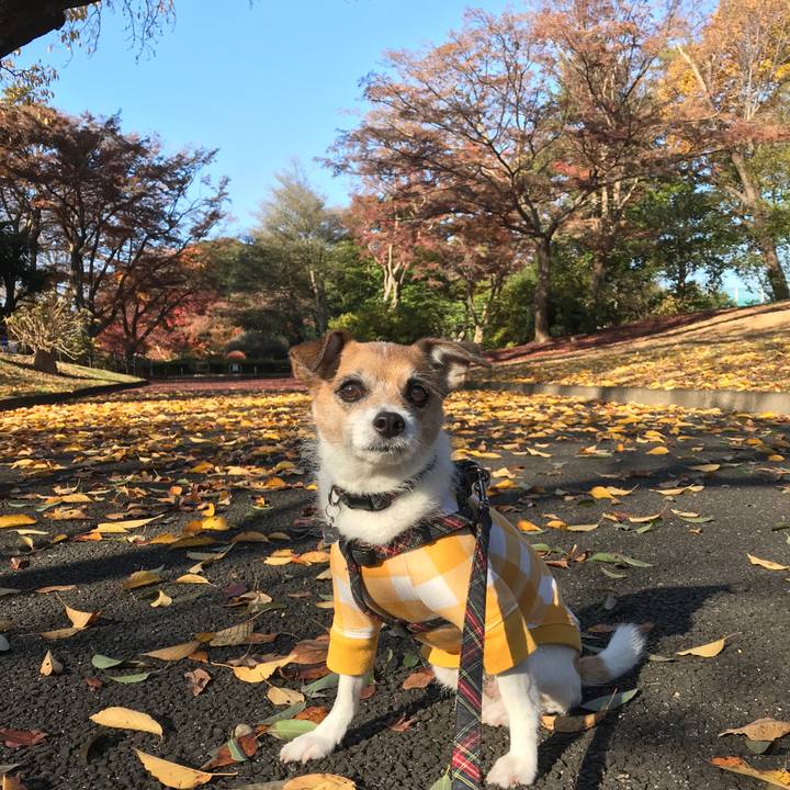 8c6d293d b6ae 482b a6e7 a8d9bf9d40b4 1576119648105