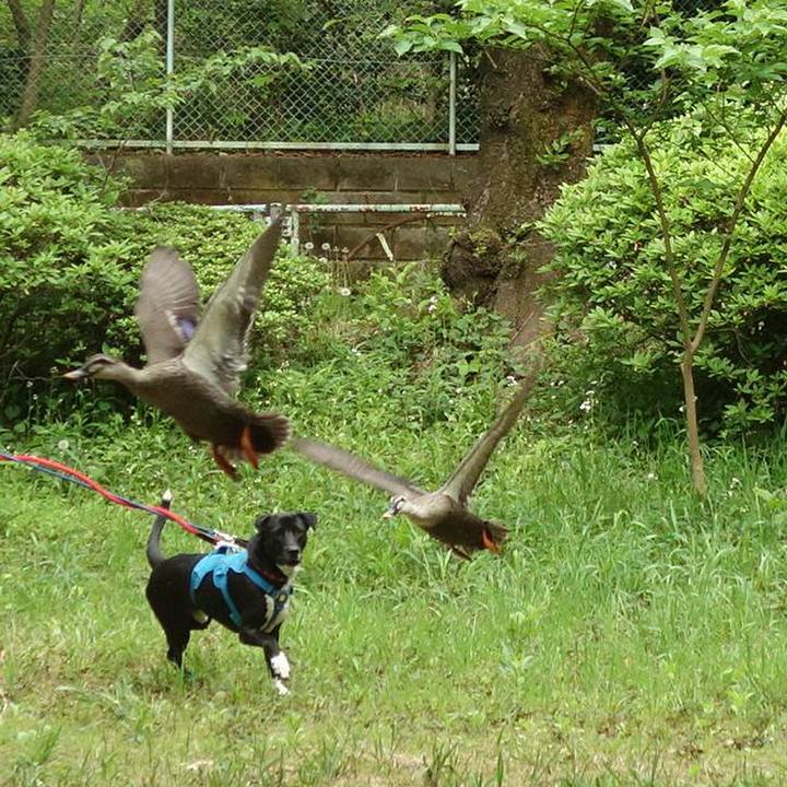 8c6d8840 bcd4 4fd4 936d 9e9dede4736b 1619311067641