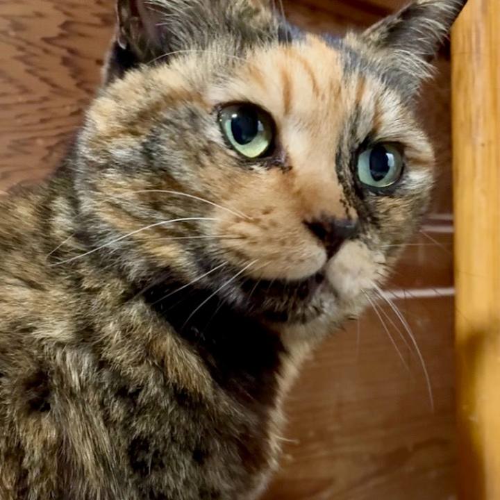 8c6df81a f059 4882 8799 05244ed9f655 1767583847882