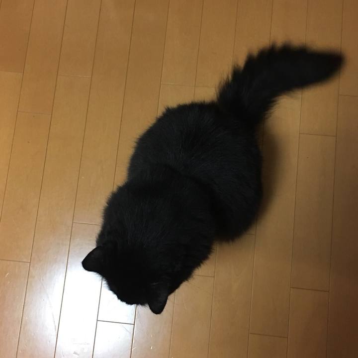 8c6e2442 b879 498a 894c b373a7957fa7 1568978957185