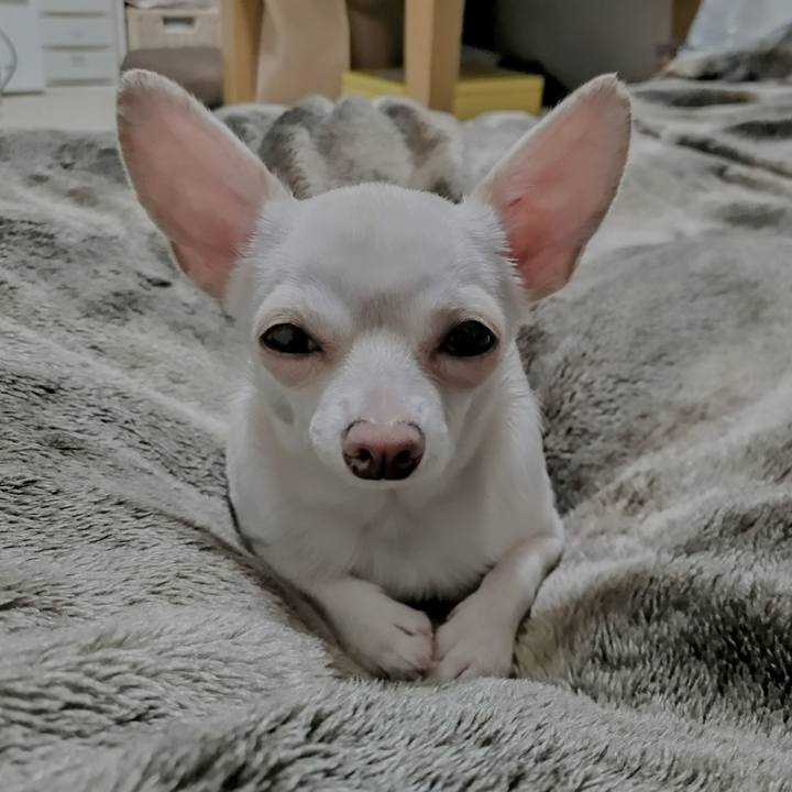 8c6e387d c9d2 4429 9269 c919ec9e7618 1705922679981