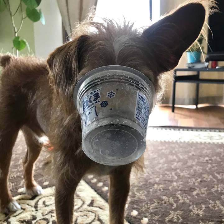 8c6e4b9b 61a8 4ab5 a8bc d5f91c2de139 1597123638063