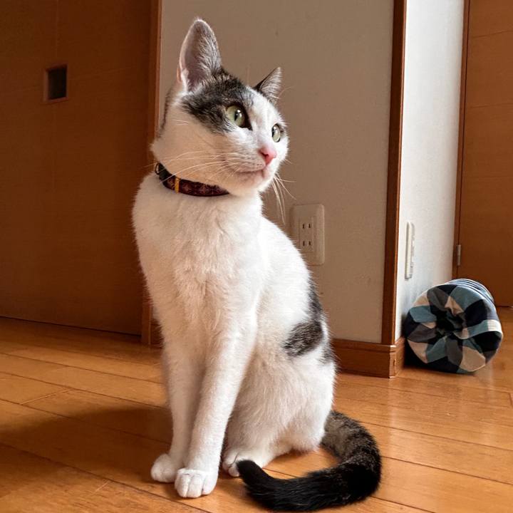 8c6ec57c 6a26 4a0c 89cd 307ca6a40281 1763035169230