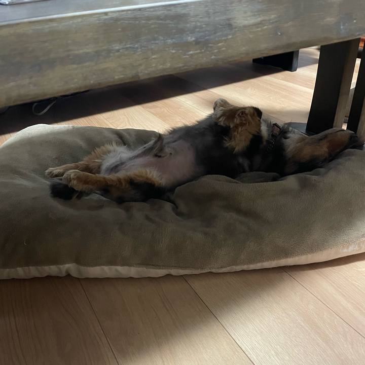 8c6edf74 fb41 426d b42c 9790ba9864a1 1682461969182