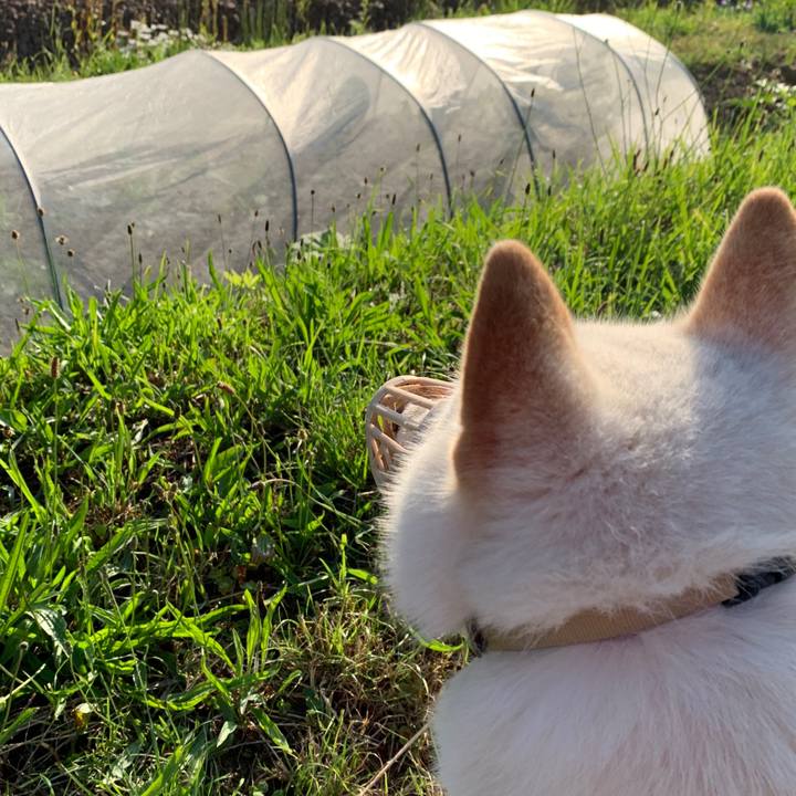 8c6ee886 d621 4743 a91c aa4301165a0d 1560805039523