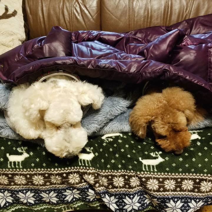 8c6f222b 3639 412c b668 10d74c1cab6e 1518271569206