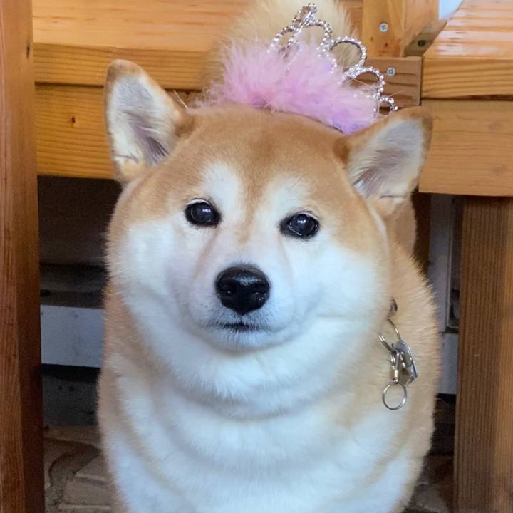 8c6f3c0b 1dd9 4bb1 ba66 1bb20052a1bb 1605940306059