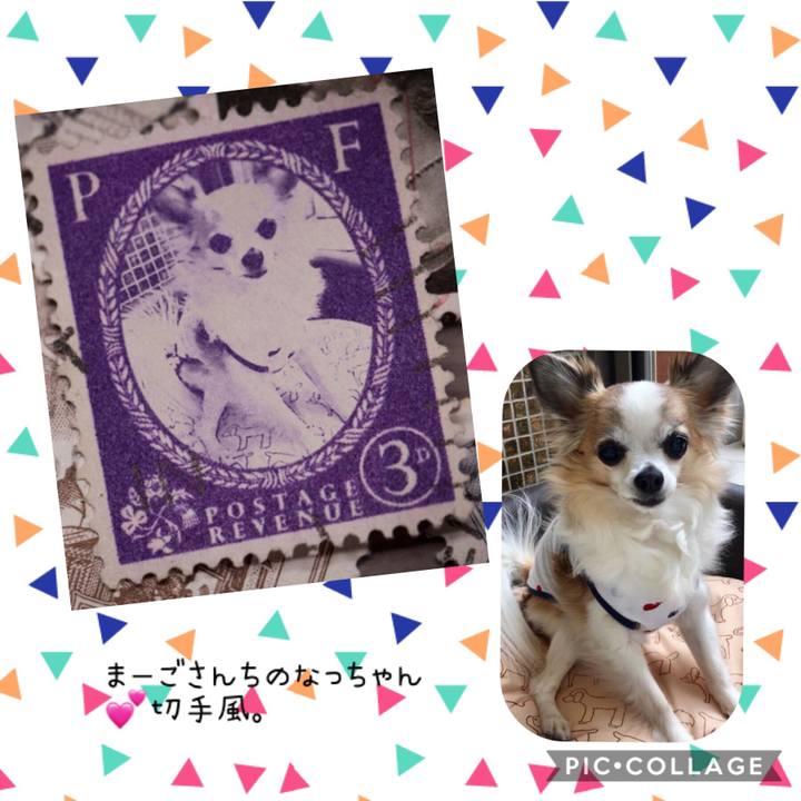 8c6f58b6 c3e4 490d a80c ebf00e0ee309 1544613405096