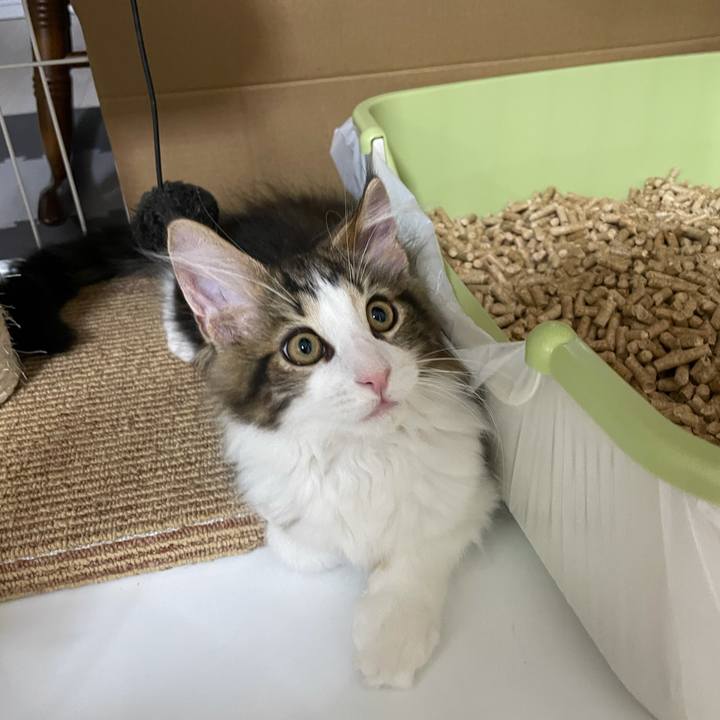 8c6f5f24 3396 4f75 bb41 72556cc7f53e 1633294404692