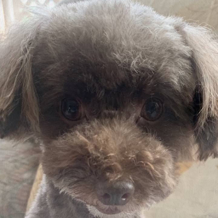 8c6f7214 ff19 4b0e 89ef e92764a820a0 1567834038180