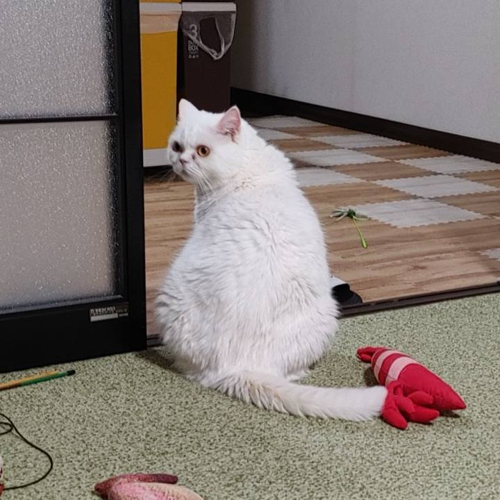 8c6f8eef fff4 4310 ad8e 2898a51469cb 1723201638543