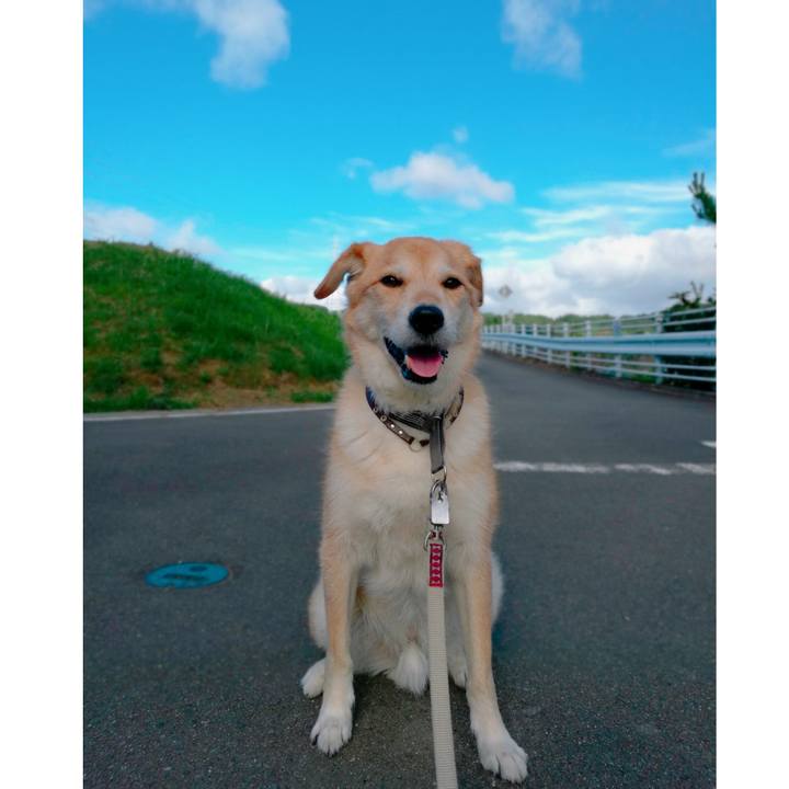 8c6fab6e c72f 4d74 a025 536029e76a0b 1530225407825