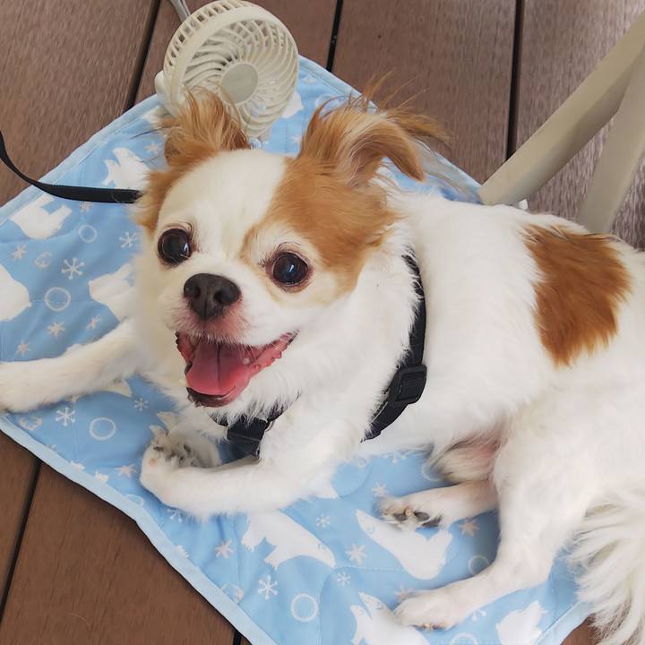 8c6fd7d5 4c54 470d 94d1 e5bc3555fba8 1593236782056