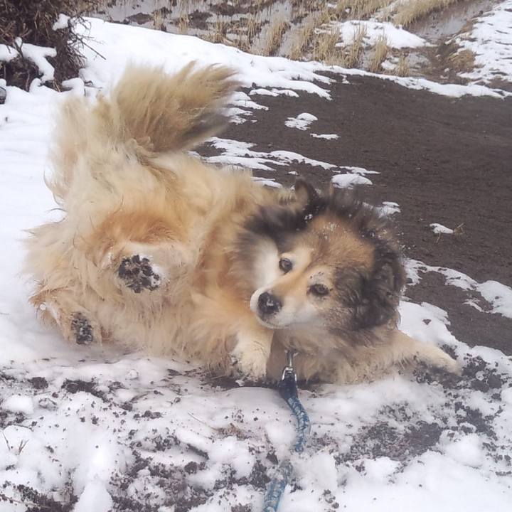 8c6fe527 7380 4db9 b734 93489961a45e 1609801729060