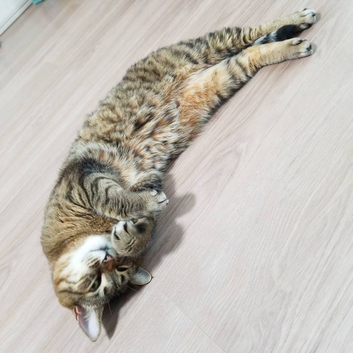 8c6ff382 2dbe 4a13 8a55 516063ca084d 1586382296015