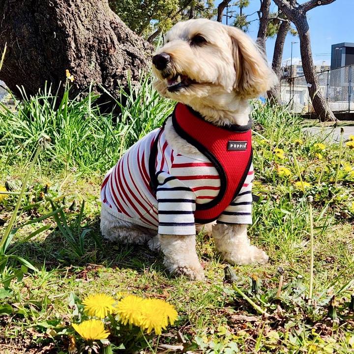 8c703189 9b38 4c9b 9e72 205996591982 1772350797022