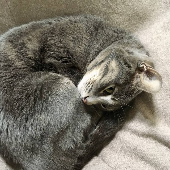 8c704066 a2a8 4eac 9b2d 0bfdecbd74c9 1545215616611