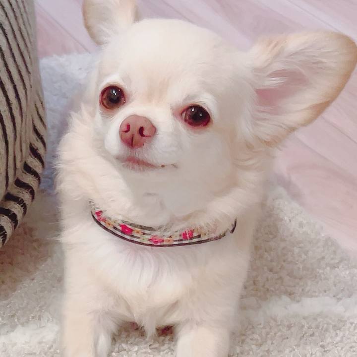 8c706069 926e 4457 bef8 3db895240412 1726271646876