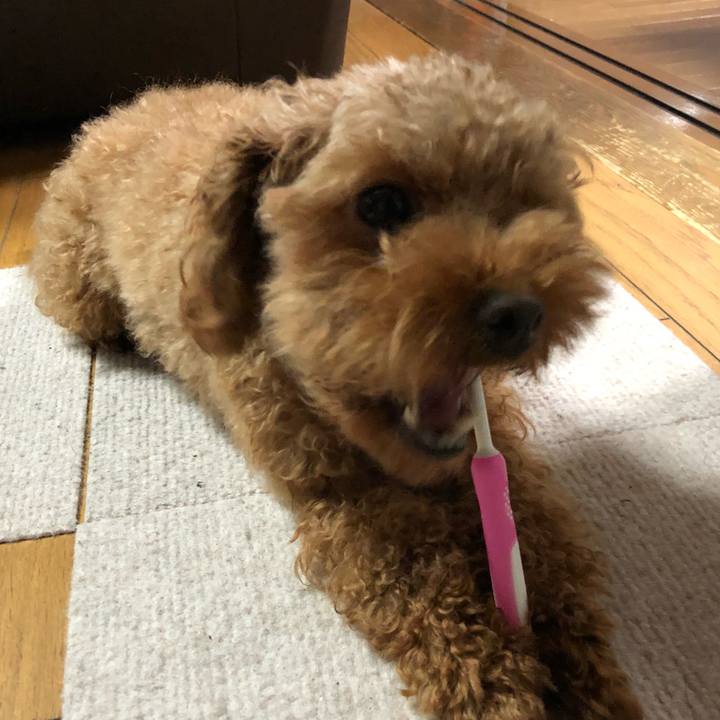 8c709a75 a187 40b4 ae06 5cc68a1a1149 1541254478927