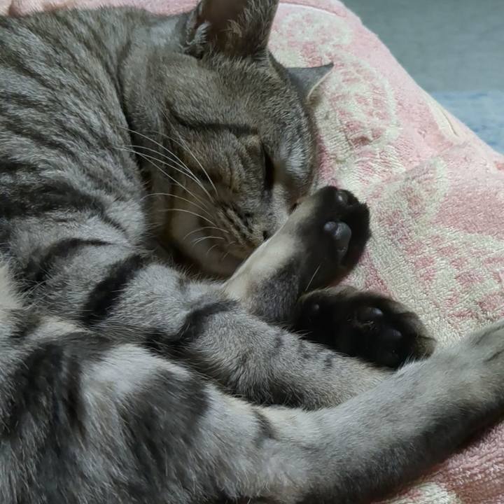 8c70af13 5b09 4038 810b 6079740abf1a 1700581236965