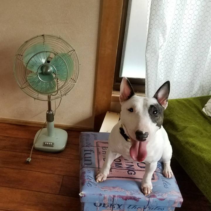 8c70d289 c1a0 4799 8380 54e54eea63ee 1530068495334