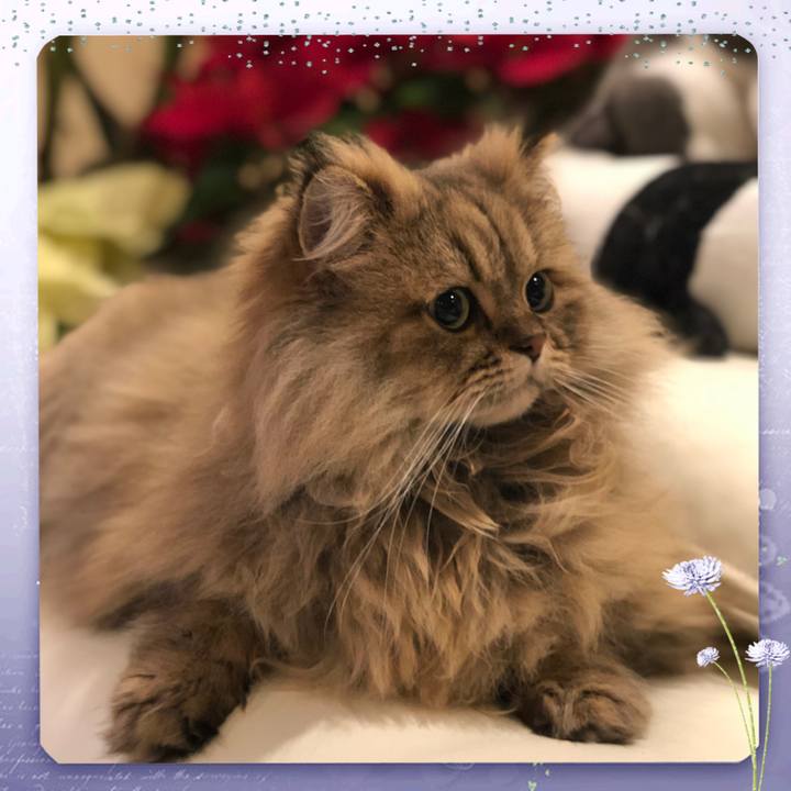 8c70e8f0 da2b 4943 9b8e 1e08e4ea5242 1734388762653