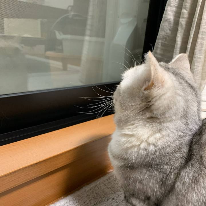 8c7104d8 ee60 4bd8 9acf c583ae7bc682 1710919523685