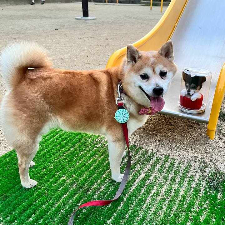 8c7128f0 3d88 4b41 b710 d13b3e65e660 1661604116810