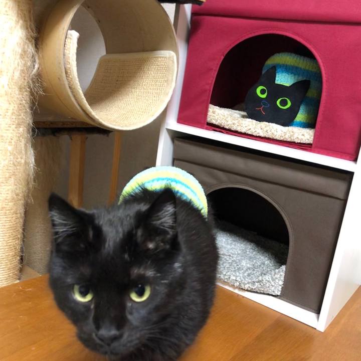 8c7150ac 7eec 46b6 afaf 3f036819a7d1 1582981184198