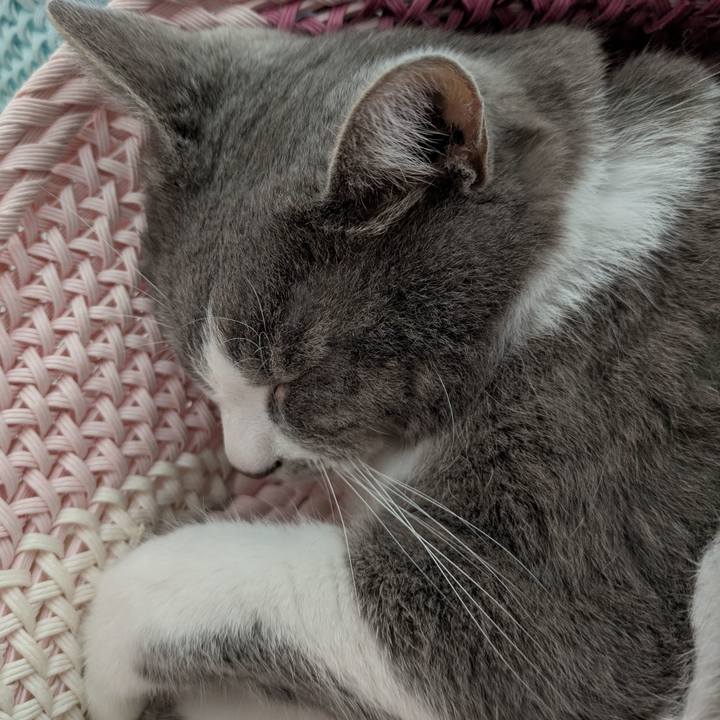 8c7154b2 d77e 4555 96f6 6bb4d4904ac9 1754446873805