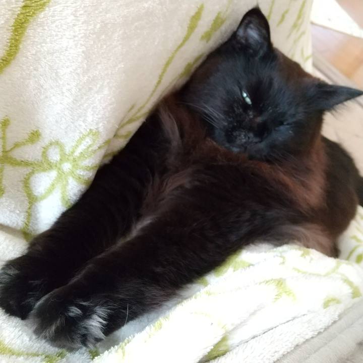 8c718302 e9c1 4253 b8b1 0b28a0d38514 1674864602828