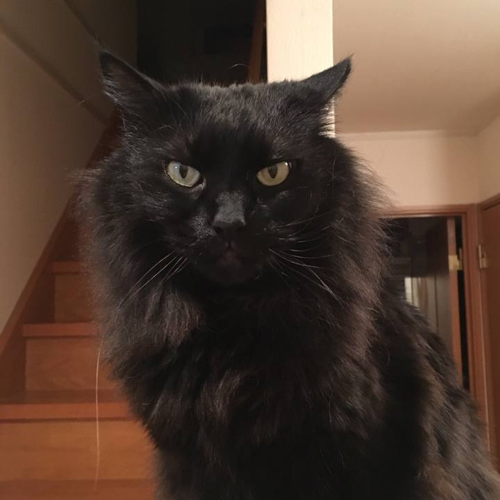 8c71a85c f3e2 4920 afd1 7dc474140df4 1549975353540