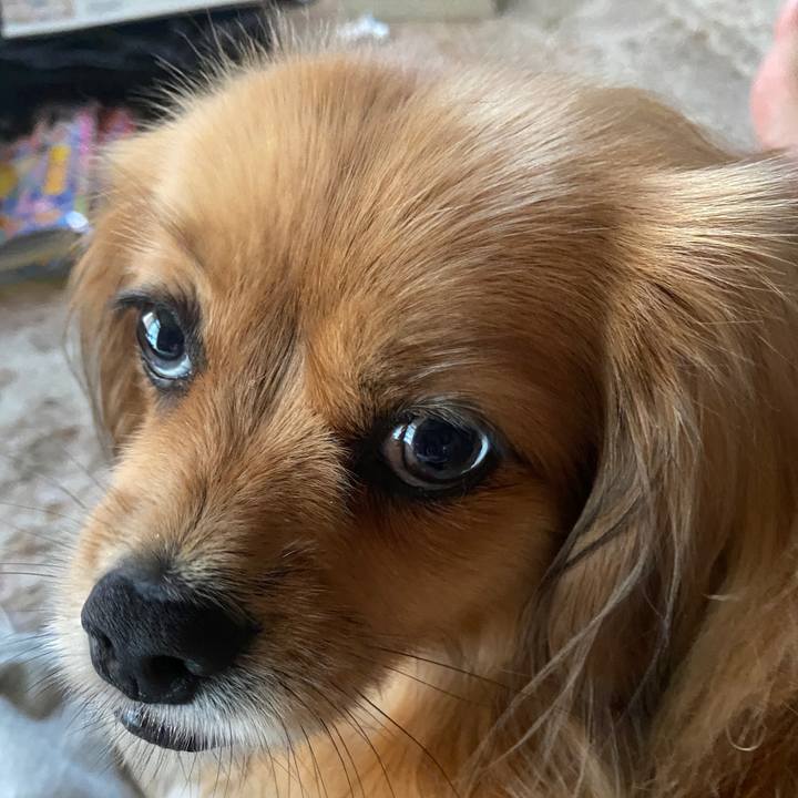 8c71b495 f05a 4735 ab2c b330378f26ad 1655674878633