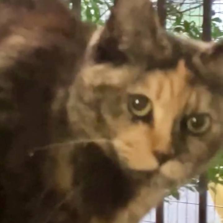 8c71b7bc 5efa 42ff abc3 08ba42aff1c5 1733736925236