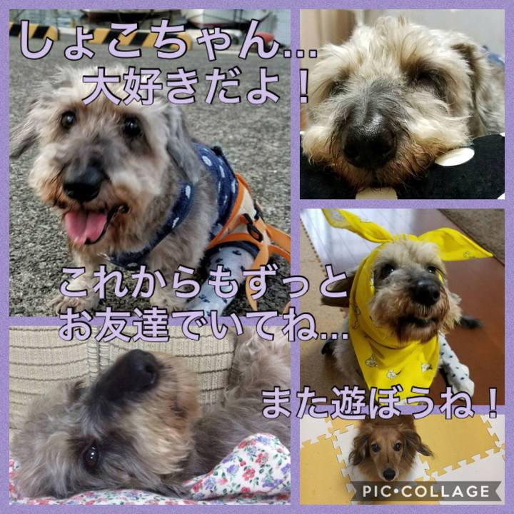 8c71bd6c e14f 467e 9dbd 67b9d5a90625 1561005418406