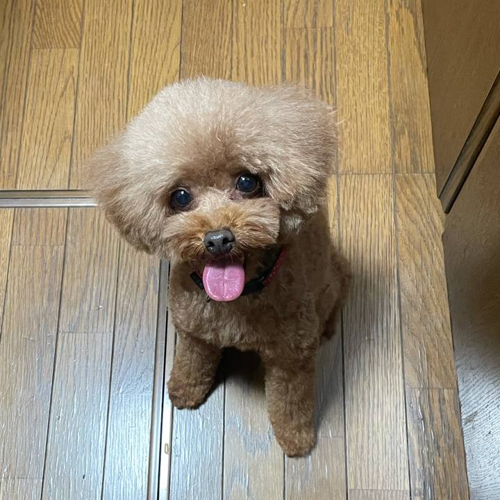 8c71c423 d381 4328 949e 222b182c8f49 1624689450097