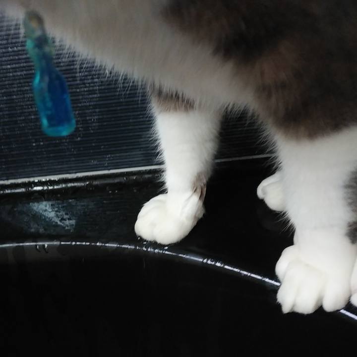 8c71e5b7 0d82 4bed 8680 ff703f6843fc 1585698489124