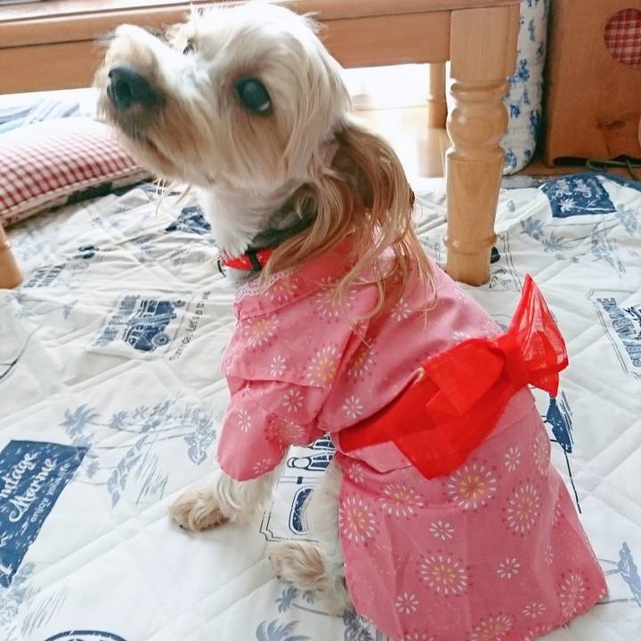 8c71f621 1e80 4741 994e 028a4ee138b7 1531618276160