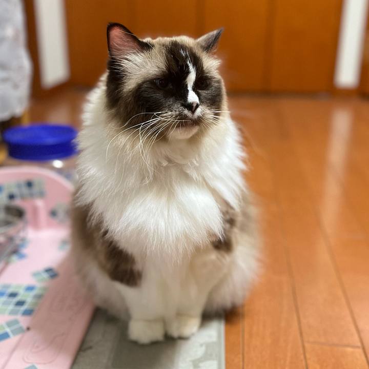 8c721376 e917 4526 9637 877c06ba9b54 1694958092522