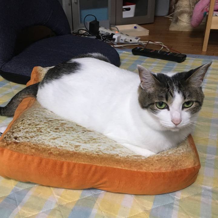 8c724c8d ad70 4e1a b8ab 9ef3ce9efa9f 1528812508596